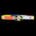 A vibrant LIFETAG Medical ID bracelet featuring a band composed of bright, multicolor rectangular links. The central medical ID plate is integrated into the colorful chain, offering essential emergency information with a bold and unique style.